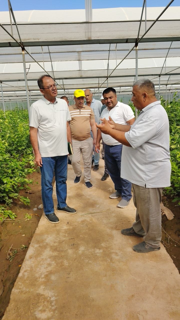 Germaniyalik mutaxassislar “Denov Agro Star” faoliyati bilan tanishdi